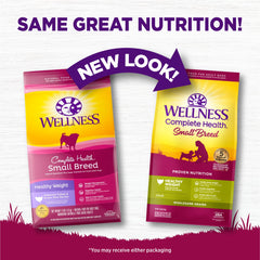 Wellness Complete Health tazón de comida diaria para perro pequeño, ritual práctico