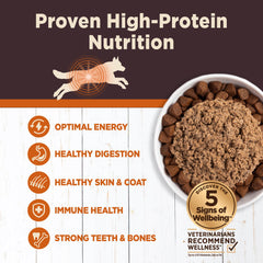 Wellness CORE Digestive Health, perro-disfruta-pate: textura suave para distintas edades.