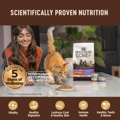 Wellness CORE+ Hairball paté de pollo, dieta sin granos para gatos adultos