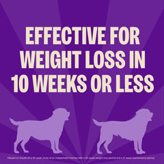 Wellness CORE croquetas pequeñas, ideales para perros pequeños y peso controlado.