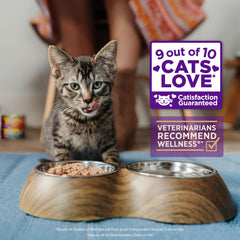 Wellness Indulgence salsa pavo 3oz, porciones individuales para gatos adultos.