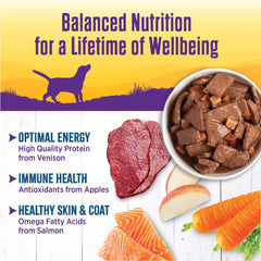 Wellness perro disfruta estofado, experiencia natural y satisfactoria.