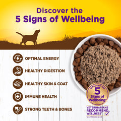 Proteína real y vegetales en Wellness para perros adultos.