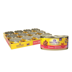 Wellness Salmón entrada en salsa espesa para gatos adultos, experiencia sabrosa y húmeda.