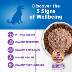 Wellness Simple: lata-pavo-patata-sin-maiz-trigo-soya, opción sin alérgenos comunes
