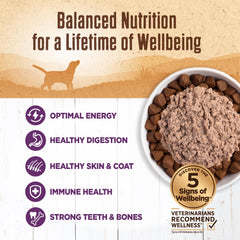 Wellness Paté de Pollo en lata sin granos para dietas naturales.