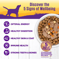 Wellness textura guiso grueso para perro, ideal como comida principal.