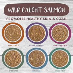 Textura cremosa de salmón en salsa en Weruva Classic Stew para gatos