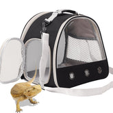 WEVONIGU transport dragon-barbu: vue claire et aération pour voyage confortable.