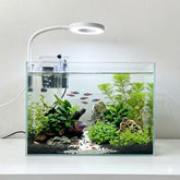 Whalix Nano Aquarium Kit: tanque sin marco para escritorio con vista clara