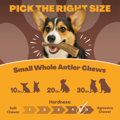 WhiteTail Naturals cuernos de ciervo con corte manual para perro.