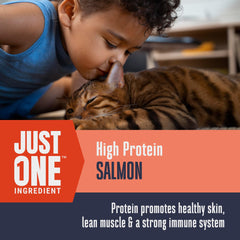 Just One Salmon de Whole Life: snack para gatos sensibles sin alérgenos