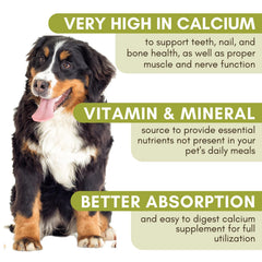 Wholistic Pet Organics dieta-casera para mascotas, complemento práctico