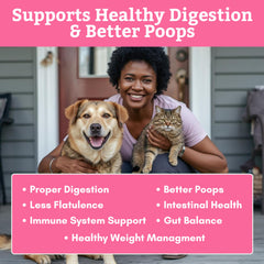 Enzimas digestivas naturales de Wholistic para perros.