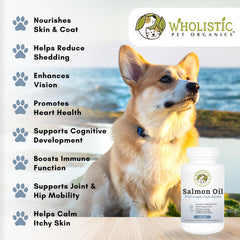 uso diario recomendado de aceite de salmón Wholistic para mascotas