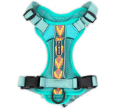 Arnés Wilderdog ligero para perros, color aguamarina, ideal para paseos diarios.