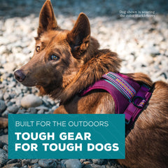 Wilderdog arnés con dos anillos D en pecho y dorso para sujeción versátil.