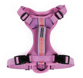 Arnés Wilderdog ligero para perro en lila, ideal para paseos diarios.