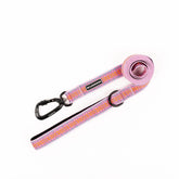 Wilderdog: correa ultraligera de 6 pies y 1 pulgada para paseos ligeros.