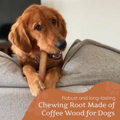 Wildfang mordedor cafe-madera para perros: soporte dental natural durante la masticación