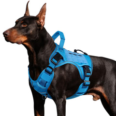 Wingoin arnés frontal azul para perros grandes, ajuste cómodo y seguro.