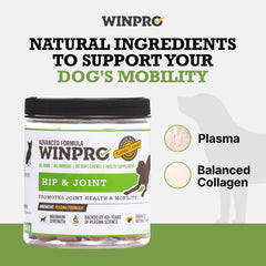 WINPRO Colágeno equilibrado para apoyar tejidos conectivos y movilidad.