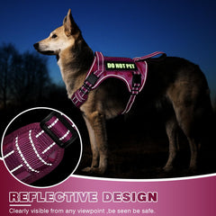 WINSEE arnés perro parches: parches intercambiables para entrenamiento y mensajes