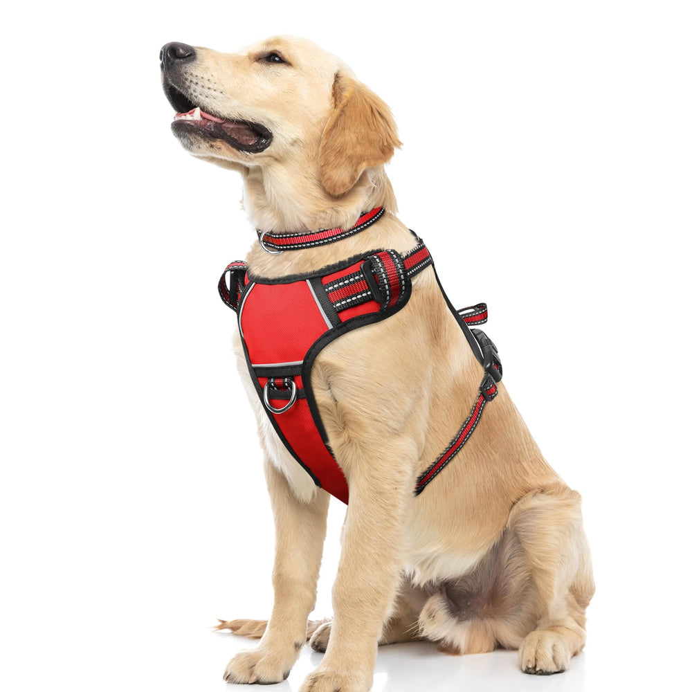 WINSEE arnés perro sin tirón para paseos seguros y cómodos