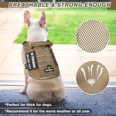 WINSEE parches diez identificativos para perro, personalización útil