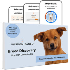 Wisdom Panel: kit de descubrimiento de razas para perros, precisión al 1%