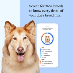 Wisdom Panel: prueba MDR1 de salud canina para evitar reacciones