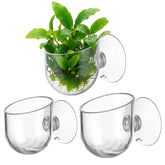 WJIAAA soporte planta acuario pequeño con ventosa para fijación estable