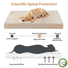 WNPETHOME Cama ortopédica XXL con funda desmontable y lavable para higiene.