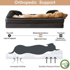 Espuma de alta densidad de WNPETHOME para mayor soporte articular