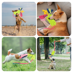 Wodoca diseño ergonómico para manos y perros, facilita sujetar y jugar.