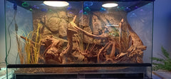 WOLEDOE decoracion para reptiles, crea refugio seguro y natural.