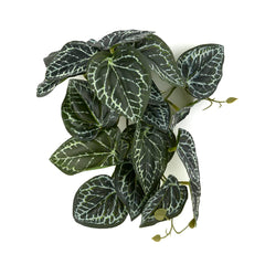 WOLEDOE plantas colgantes para terrario ofrecen color natural y instalación rápida.