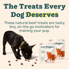 WOOF Love Nuggets training-use-case image shows dog focus during learning