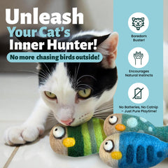 Conjunto Woolbuddy tres peces de fieltro, perfecto para perseguir y ejercitar.