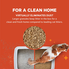 Contrôle des odeurs avec World’s Best Cat Litter Multi-Chat