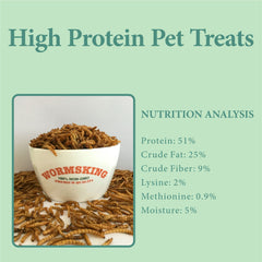 WORMSKING gusanos de harina para reptiles y roedores, complemento proteico.