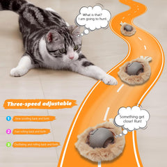 WOWF plumas gatos: estímulo sensorial para juego ligero y ágil.