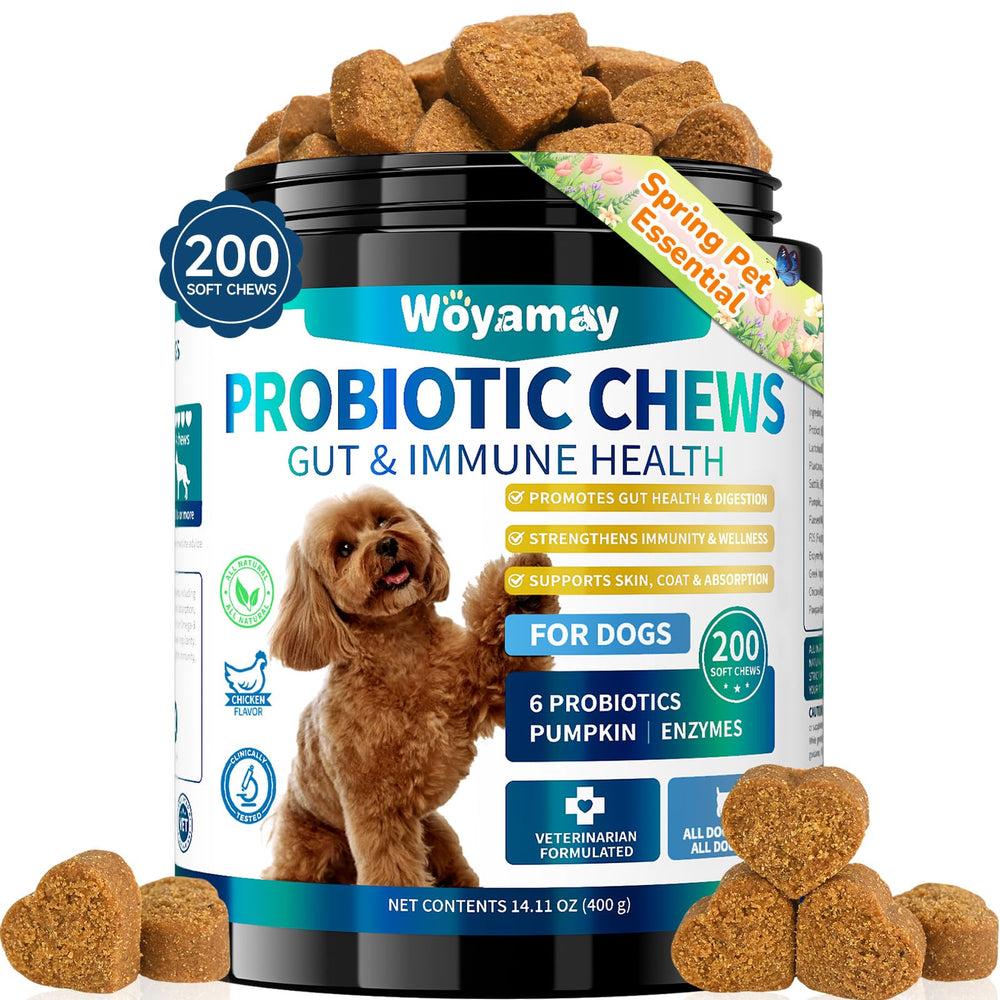 Woyamay probiótico para perros en caja, soporte digestivo suave y fácil de usar.