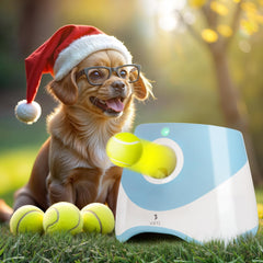 Lanzador automático WRTZ para perros pequeños en acción, diversión interactiva al aire libre.