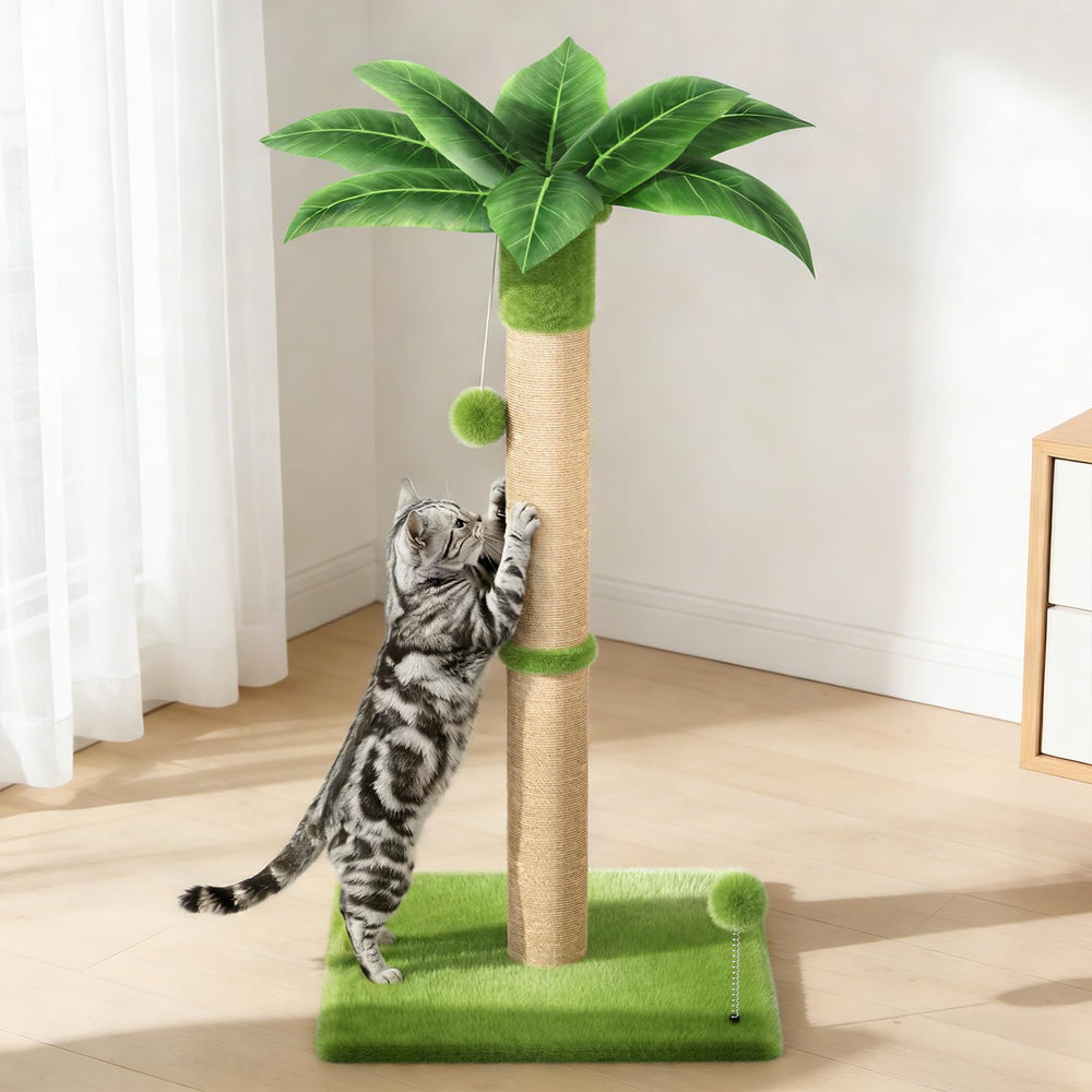 XiaZ rascador de gatos con base grande y estable para juego diario seguro