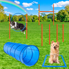 XiaZ tunel colapsable para perros durante entrenamiento al aire libre.