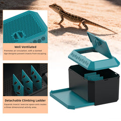 XIGETRAIL hábitat para gusanos de pan en entorno oscuro y cómodo.