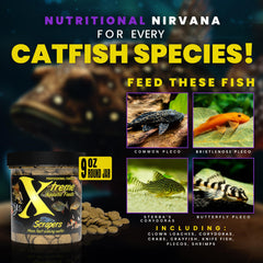 Xtreme Aquatic Foods alimento para bagre y plecostomos con textura estable