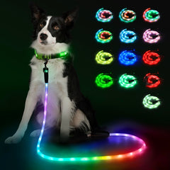 YFbrite correa luminosa para perros 6 pies, mayor visibilidad en paseos nocturnos