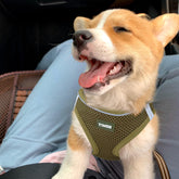 Arnés YIMEIS Army Green para perros pequeños; comodidad y visibilidad nocturna.